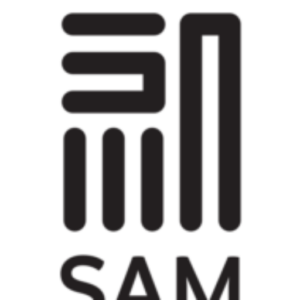 Sam Links Marketing Agency